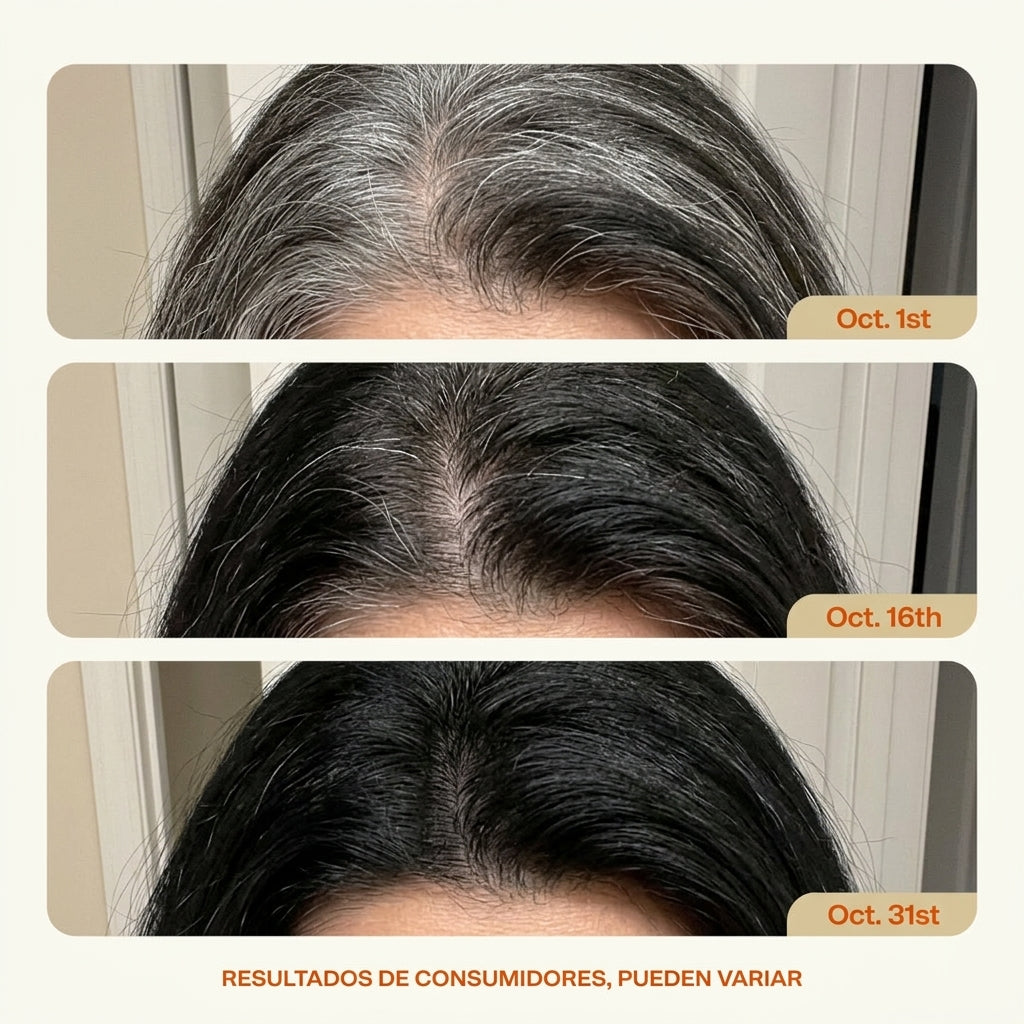 Champú Dexé Cubre Canas 3 en 1 Color NEGRO