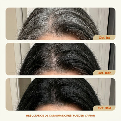 Champú Dexé Cubre Canas 3 en 1 Color NEGRO