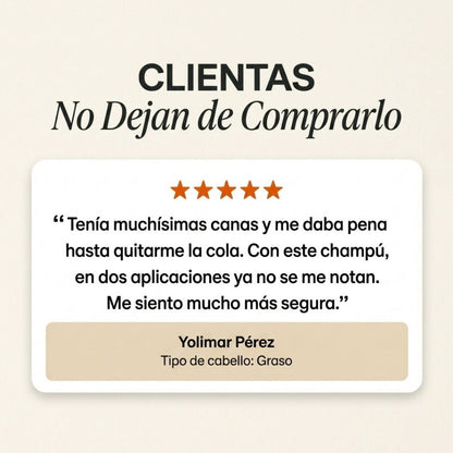 Champú Dexé Cubre Canas 3 en 1 Color NEGRO